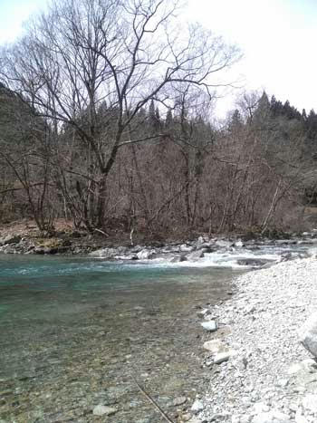 IMG00037.jpg
