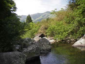 IMGP3524.jpg