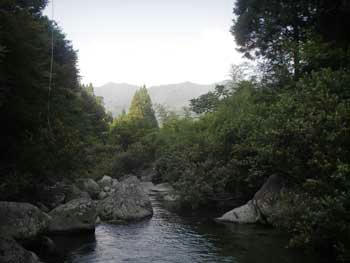 IMGP3645.jpg