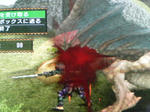 SA3B0729.jpg