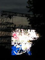 IMG_2375.jpg