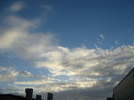 IMG_2673.jpg