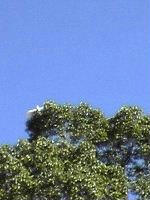 DSC05248.jpeg