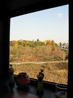IMG_3288.jpg