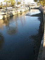 IMG_3763.jpg