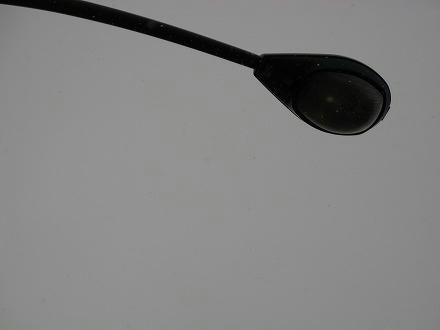 IMG_3768.jpg
