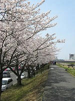 IMG_4465.jpg