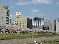 IMG_4475.jpg
