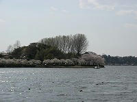 IMG_4480.jpg