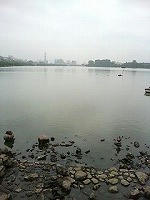 8a544578.jpeg
