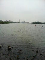DSC06526.jpg