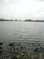 DSC06532.jpg