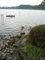 DSC06531.jpg