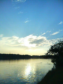 DSC06561.JPG