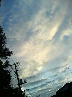 DSC06569.JPG