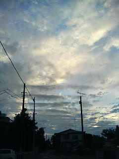 DSC06570.JPG