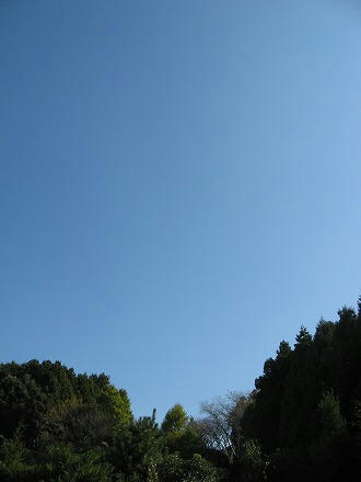 IMG_5794.jpg