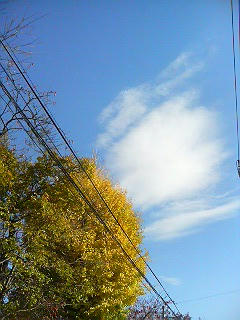 DSC06605.JPG