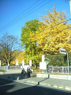 DSC06611.JPG
