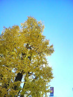 DSC06614.JPG