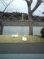 20090322151326.jpg