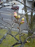 20090322154639.jpg