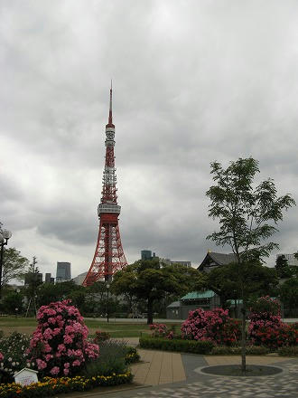 IMG_6928.jpg