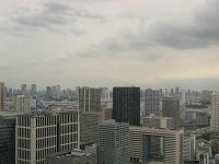 IMG_6940.jpg