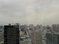 IMG_6941.jpg