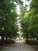 IMG_7042.jpg