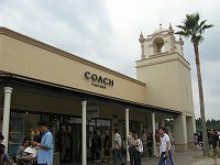 IMG_7587.jpg