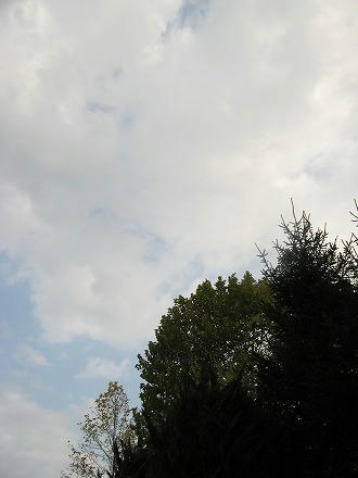 IMG_7877.jpg