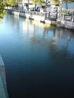 DSC00136.jpg