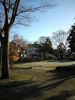 DSC00137.jpg