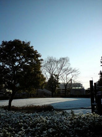 DSC00187.jpg