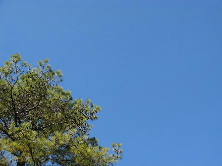 IMG_8190.jpg