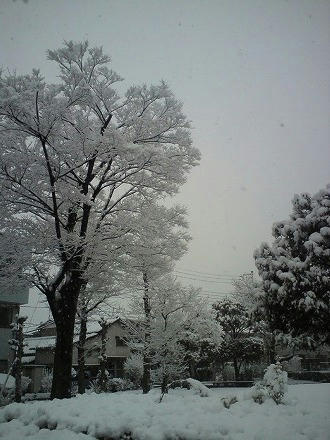 DSC00205.jpg