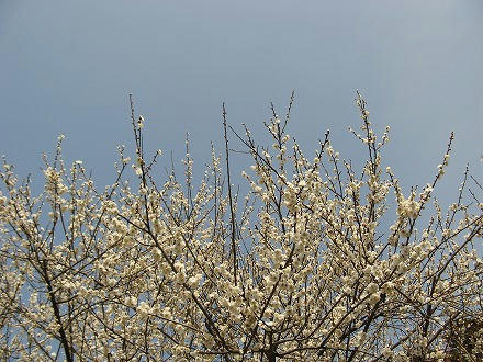 IMG_8413.jpg