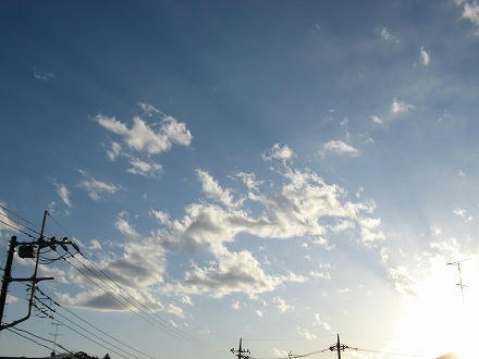 IMG_8493.jpg