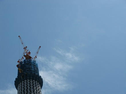 IMG_8857.jpg