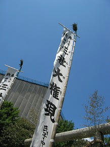 IMG_8900.jpg