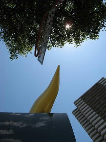 IMG_8863.jpg