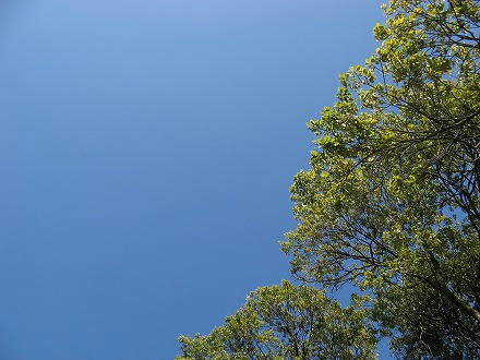 IMG_8681.jpg