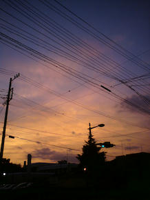 DSC00262_s.jpg