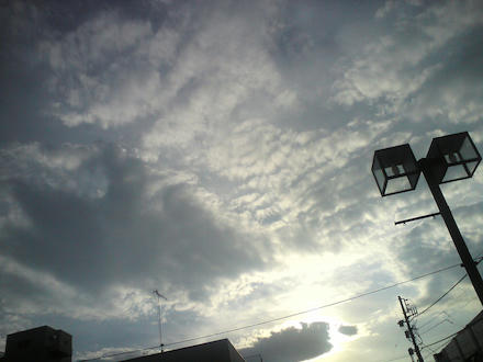 DSC00305_s.jpg
