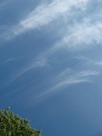 IMG_9886_s.jpg