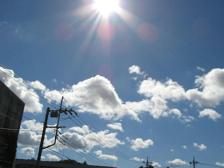 IMG_9904_s.jpg