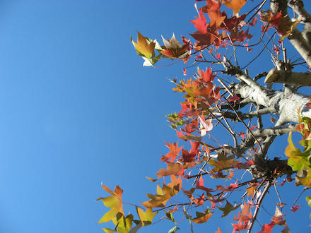 IMG_9978_s.jpg