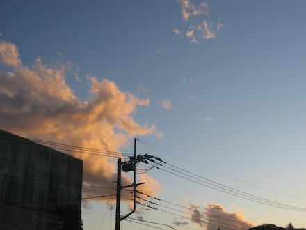 IMG_9982_s.jpg