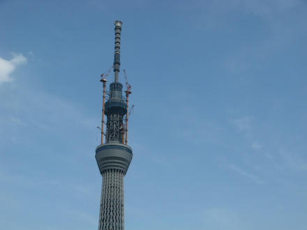 IMG_0308_s.jpg
